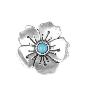 Paparazzi Accessories